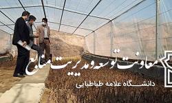 آغاز بهره برداری از گلخانه دانشگاه همزمان با روز درختکاری